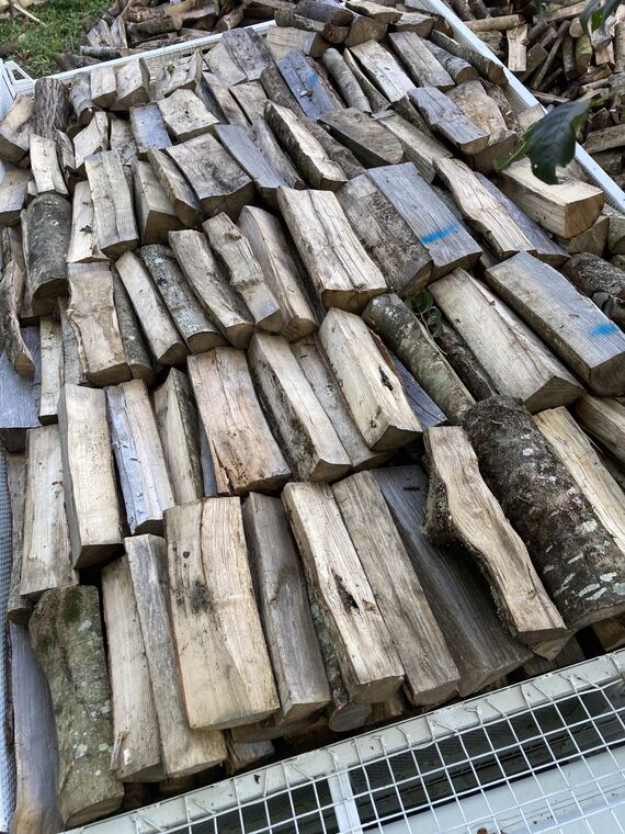 Bûches courtes de bois dur prêtes pour un insert ou un poêle