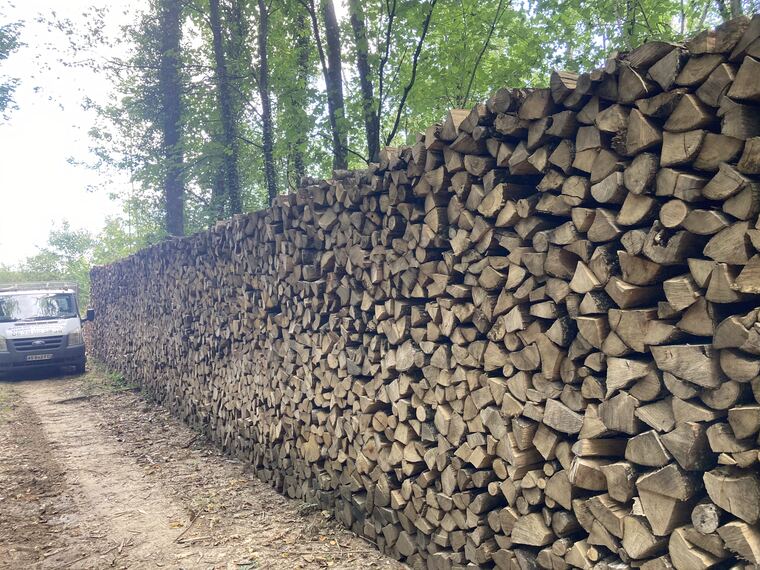 Mur de stères de bois empilés en forêt pour le séchage