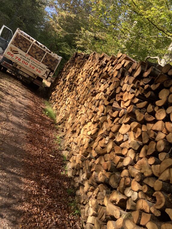 Stères de bois de chauffage et camion de livraison B Rushiti en forêt