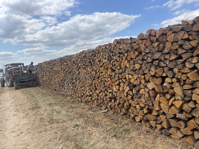 Mur de stères de bois de chauffage séchant en plein air l'été