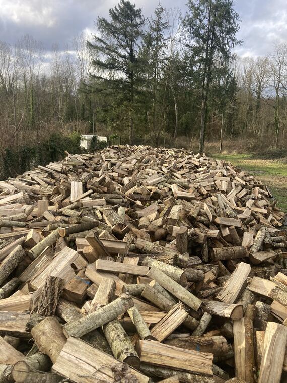 Tas de bûches de bois dur fendues prêtes à être livrées